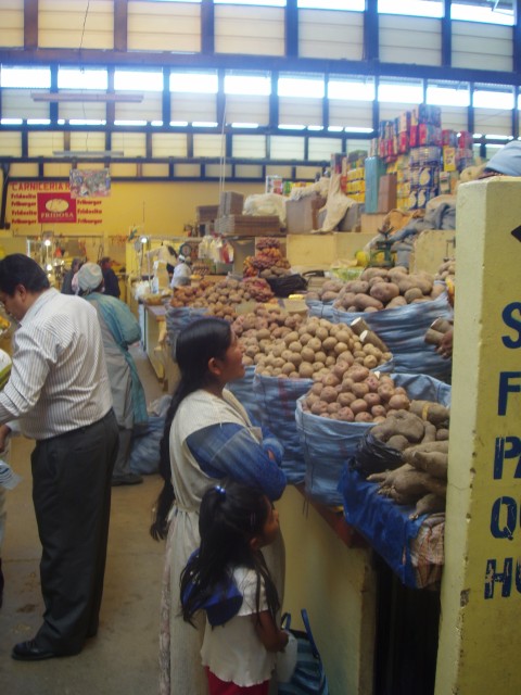 P1010174.JPG