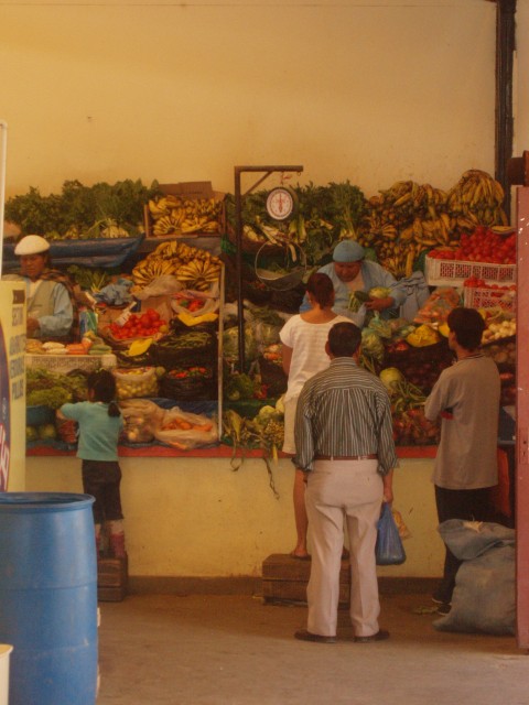 P1010175.JPG