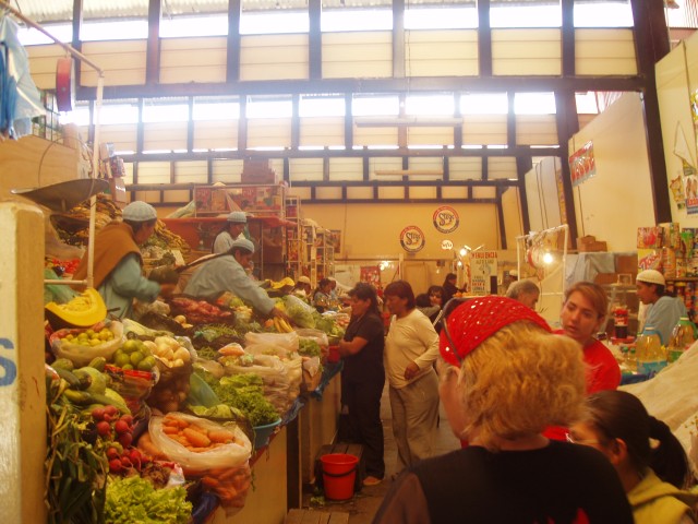 P1010177.JPG