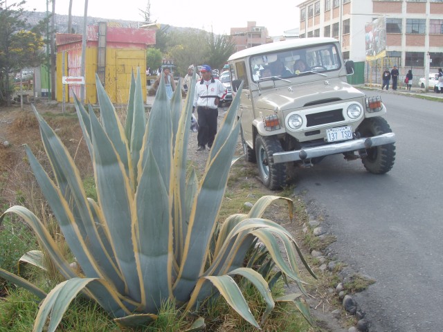 P1010204.JPG