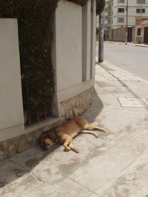 S1010004.JPG