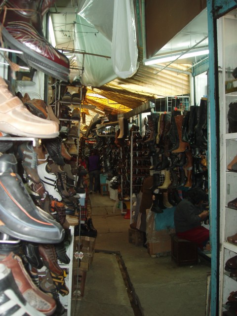 S1010019.JPG