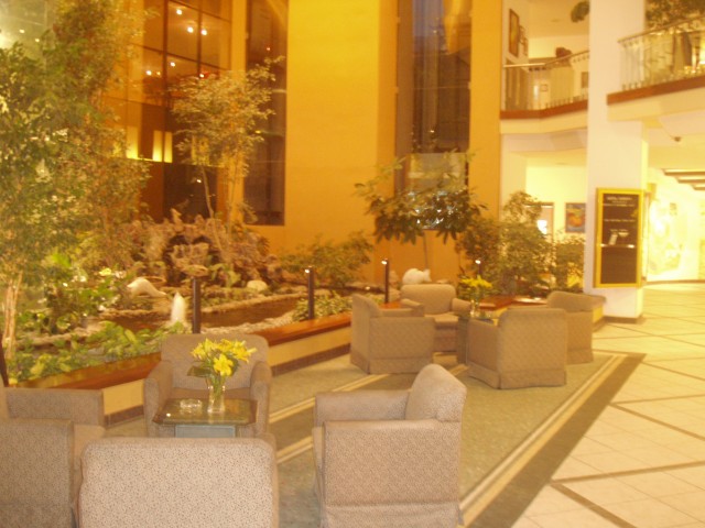 S1010013europa.JPG