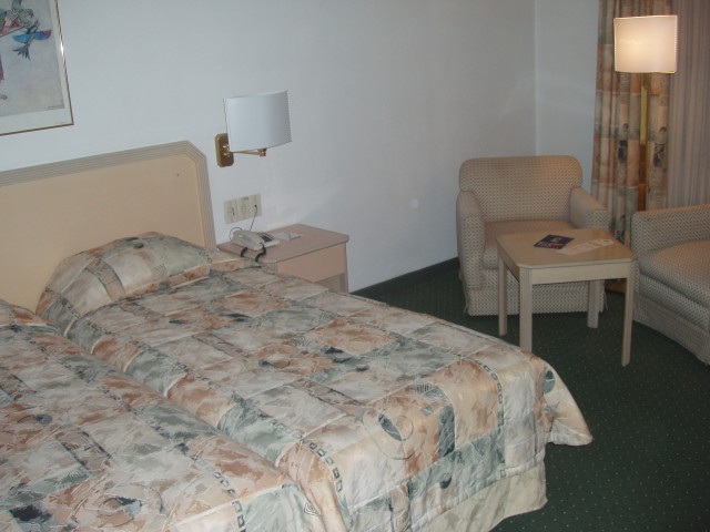 S1010014europa.JPG