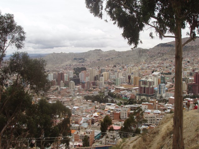 P1010003.JPG