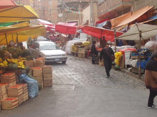 S1010020.JPG