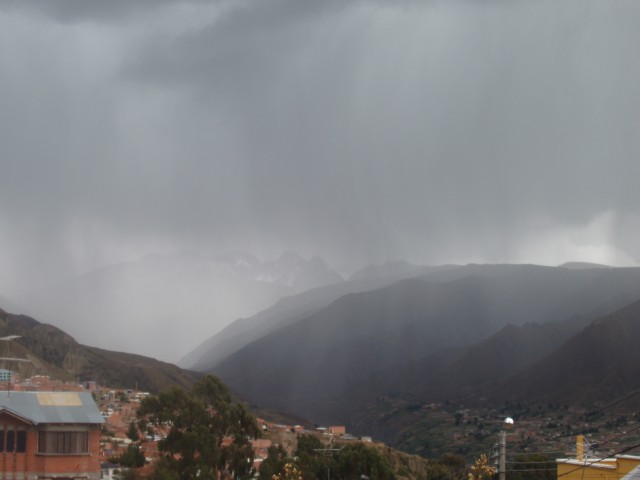 S1010036.JPG