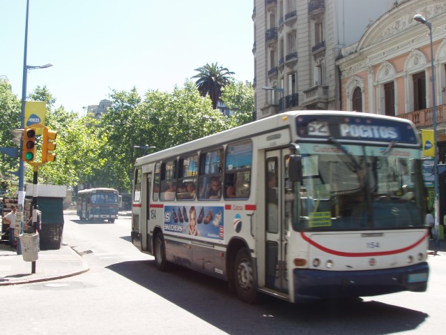 P1010009.JPG