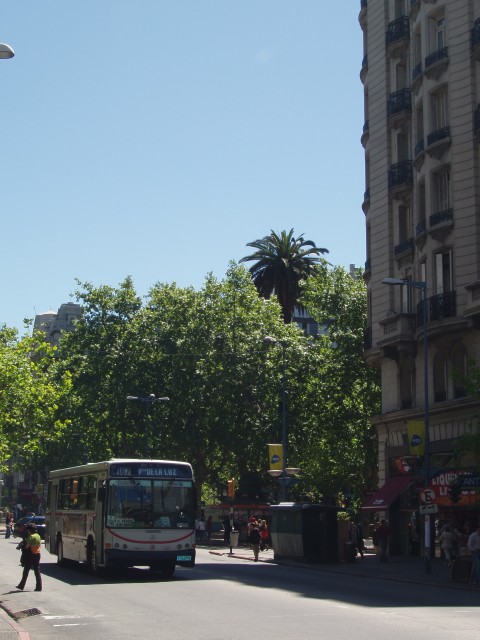 P1010010.JPG