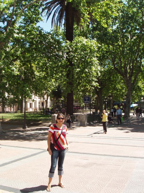 P1010012.JPG