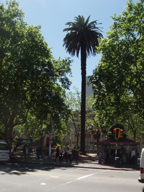 P1010013.JPG