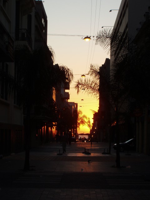P1010059.JPG