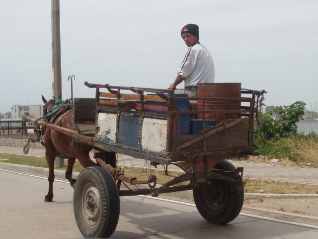P1010090.JPG