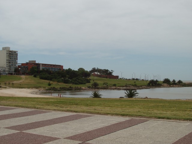 P1010111.JPG
