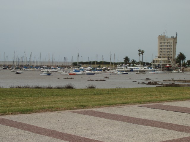 P1010112.JPG
