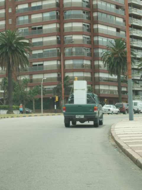 P1010114.JPG