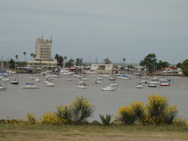P1010116.JPG
