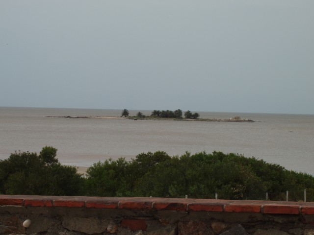 P1010117.JPG