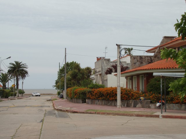 P1010123.JPG