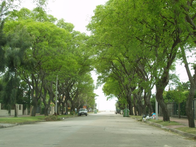 P1010127.JPG