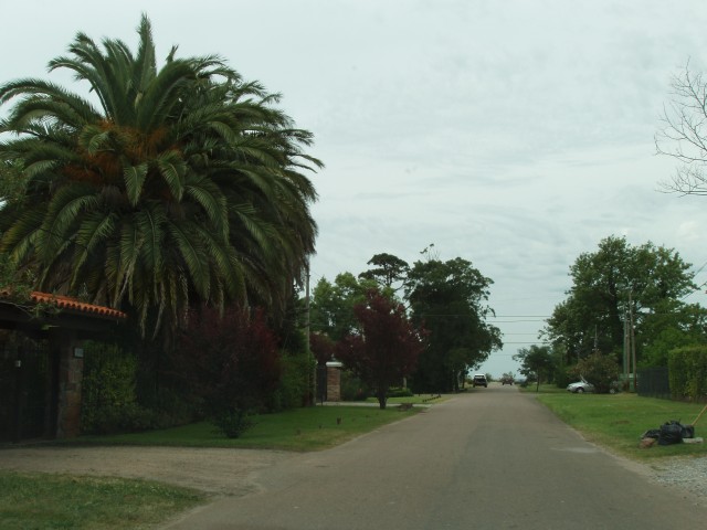 P1010135.JPG