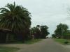 P1010135_thumb.JPG