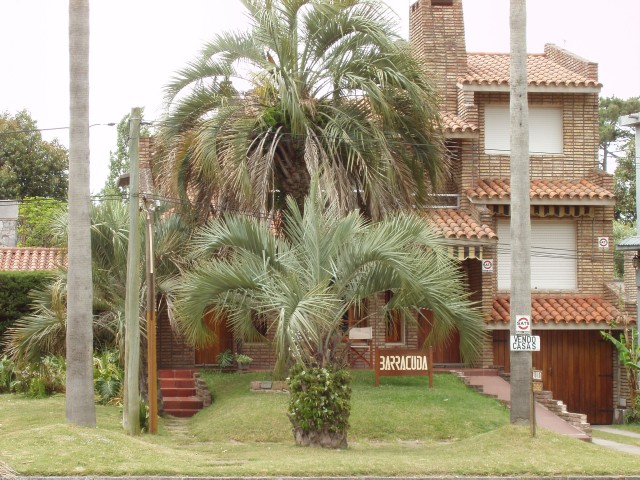P1010146.JPG