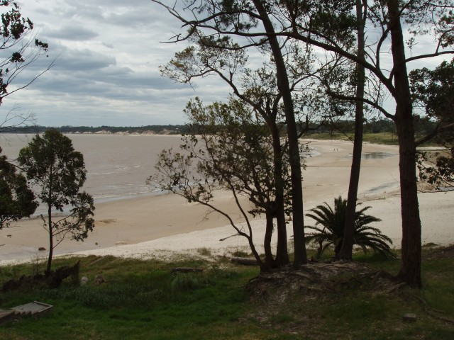 P1010147.JPG