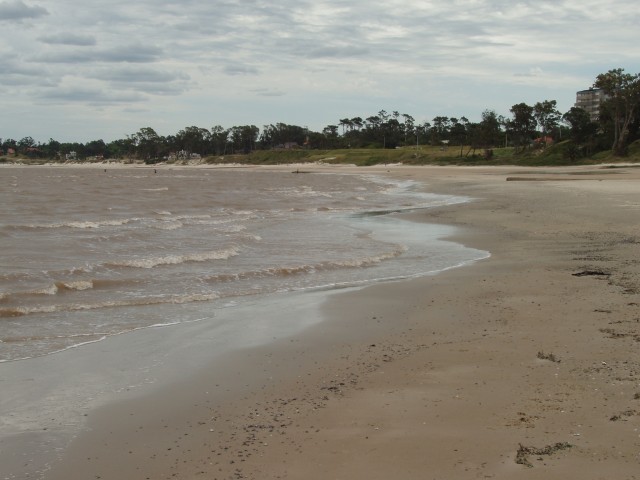 P1010151.JPG
