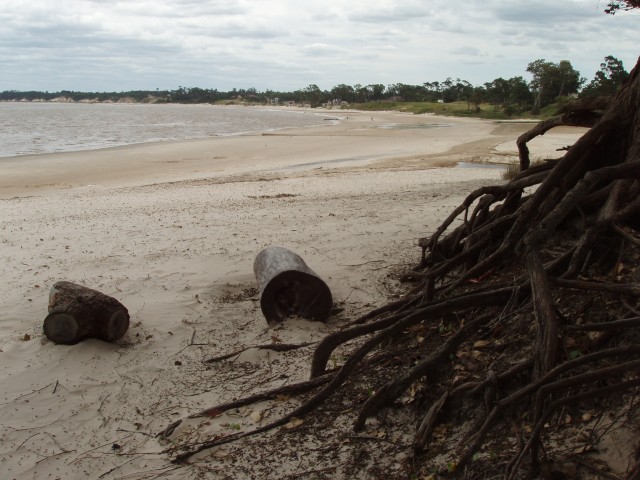 P1010156.JPG