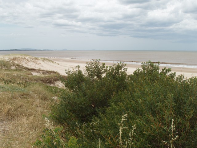 P1010159.JPG