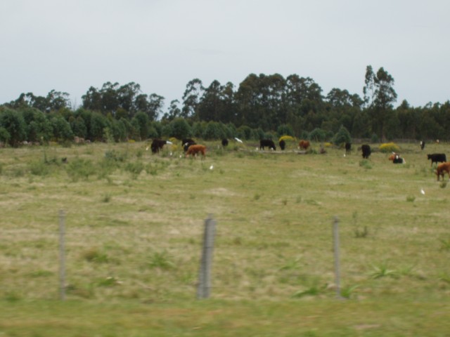 P1010167.JPG