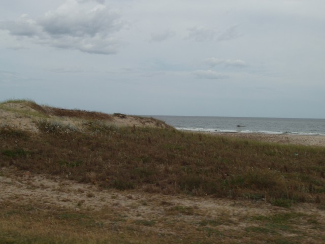 P1010168.JPG