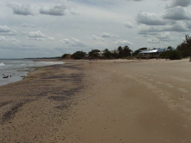 P1010180.JPG