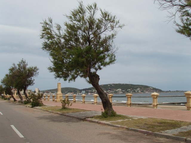 P1010185.JPG