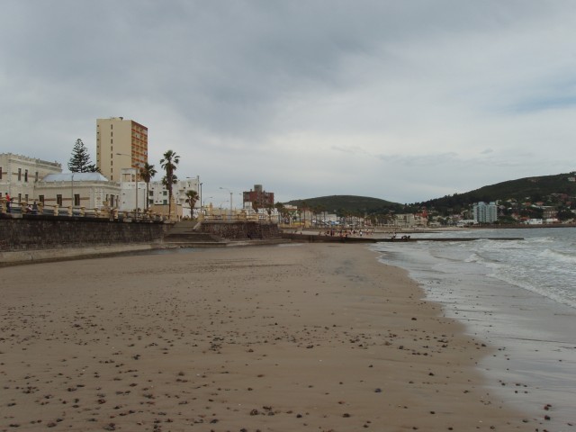 P1010202.JPG