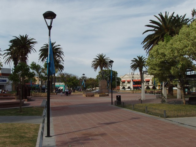 P1010221.JPG