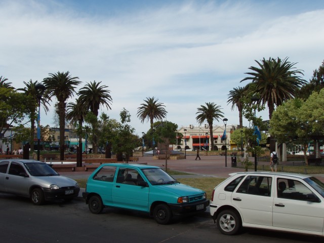 P1010224.JPG