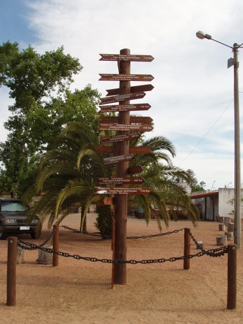 P1010226.JPG