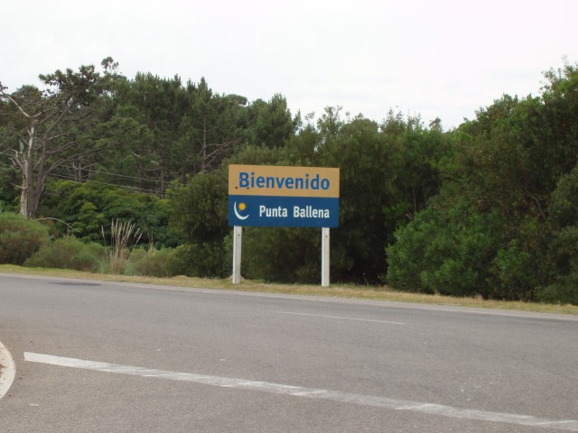 P1010231a.JPG