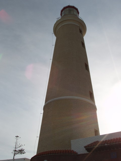 P1010235.JPG