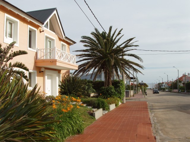 P1010239.JPG