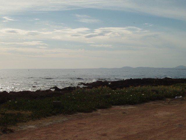 P1010240.JPG