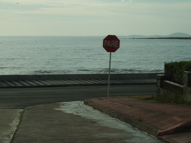 P1010241.JPG