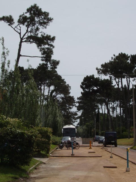 P1010266.JPG