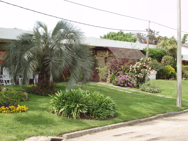 P1010267.JPG