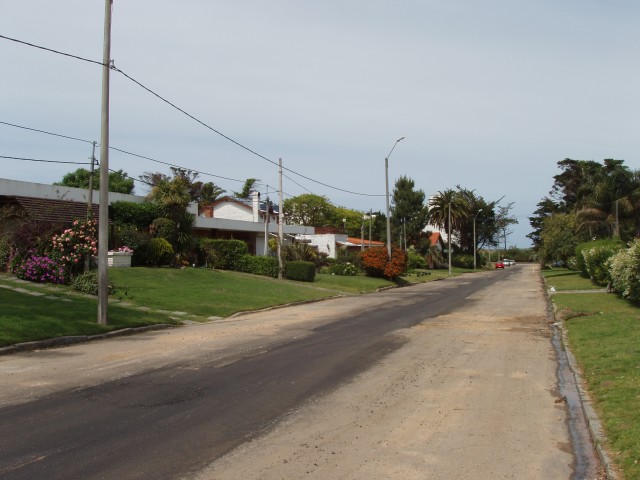 P1010268.JPG