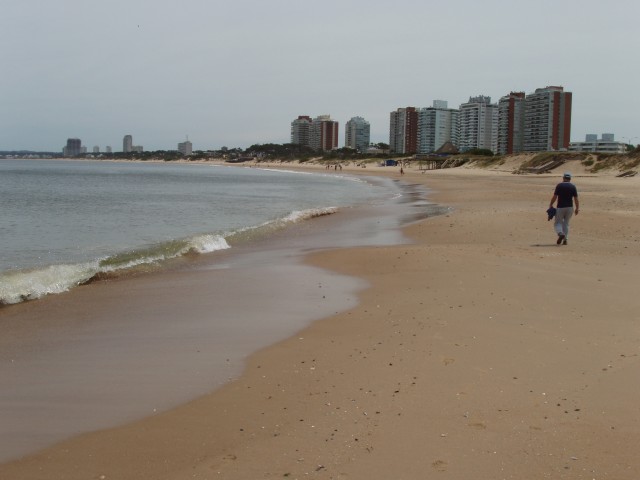 P1010277.JPG