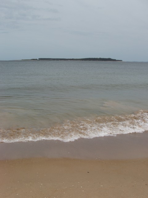 P1010278.JPG