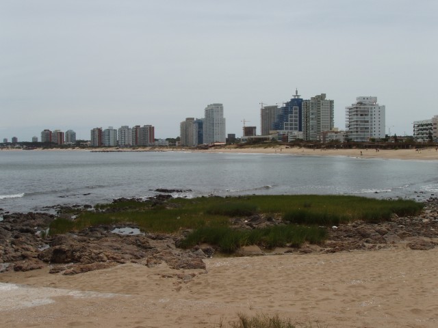 P1010280.JPG